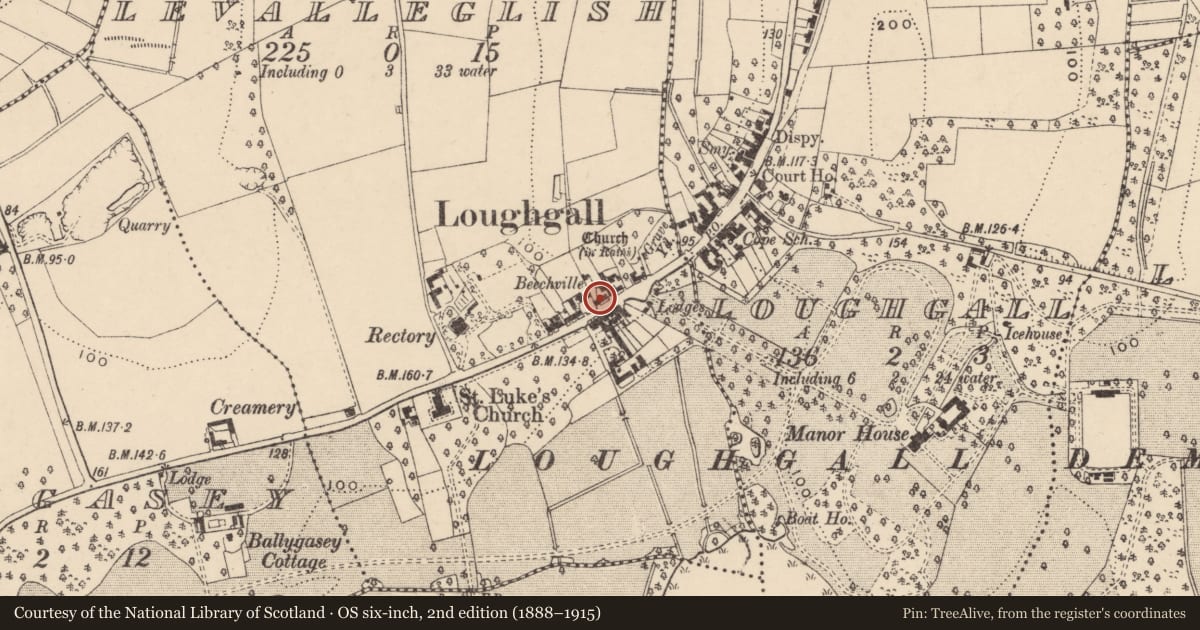 Ordnance Survey six-inch map, 2nd edition (1888–1915) covering the location of 24-26 Main Street, Levalleglish, Armagh City, Banbridge and Craigavon, with a pin at the register's coordinates