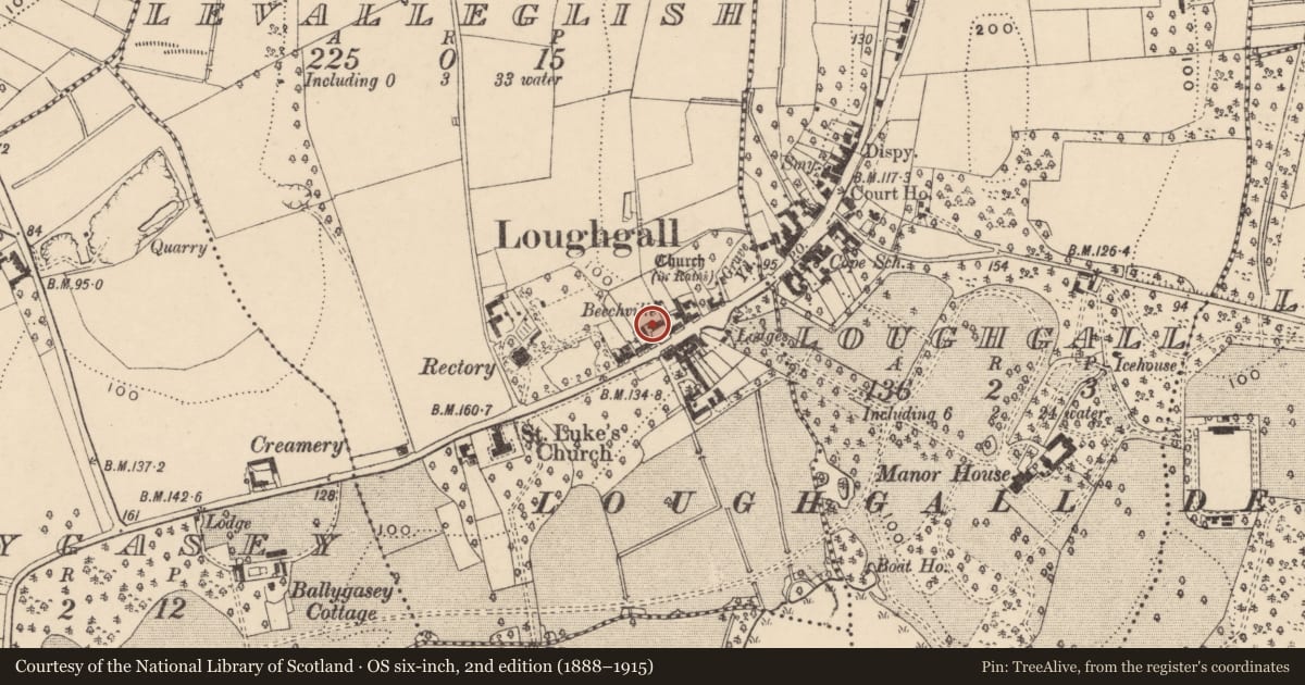 Ordnance Survey six-inch map, 2nd edition (1888–1915) covering the location of BEECHVILLE, Armagh City, Banbridge and Craigavon, with a pin at the register's coordinates