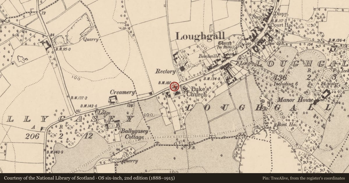 Ordnance Survey six-inch map, 2nd edition (1888–1915) covering the location of Gates at St Luke's Church, Levalleglish, Armagh City, Banbridge and Craigavon, with a pin at the register's coordinates