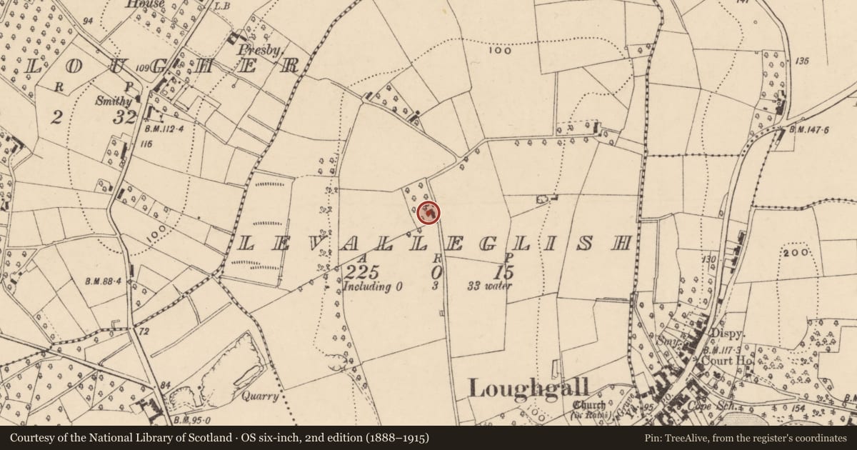 Ordnance Survey six-inch map, 2nd edition (1888–1915) covering the location of 234 Loughgall Road, Levalleglish, Armagh City, Banbridge and Craigavon, with a pin at the register's coordinates