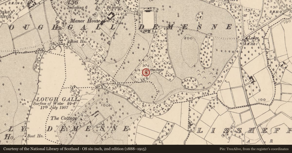 Ordnance Survey six-inch map, 2nd edition (1888–1915) covering the location of The Hermitage, Lisneany, Armagh City, Banbridge and Craigavon, with a pin at the register's coordinates