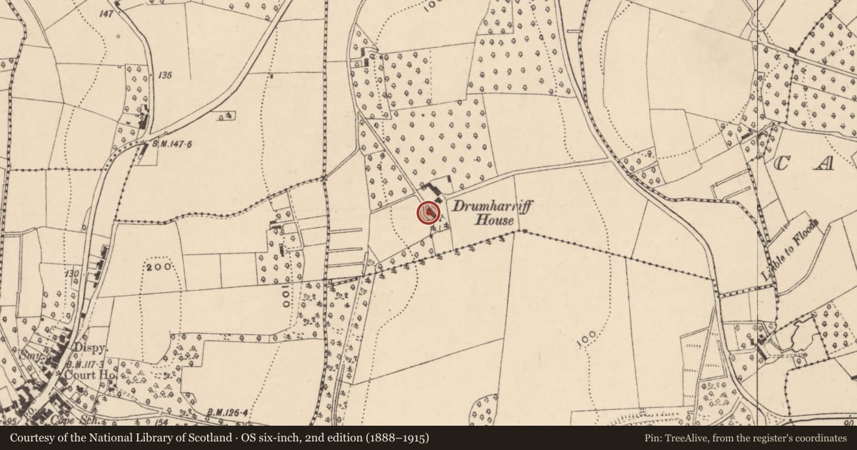 Ordnance Survey six-inch map, 2nd edition (1888–1915) covering the location of Drumharriff House, Armagh City, Banbridge and Craigavon, with a pin at the register's coordinates