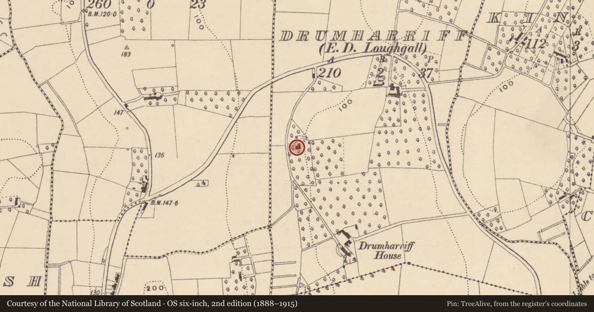 Ordnance Survey six-inch map, 2nd edition (1888–1915) covering the location of Drumharriff Lodge, with a pin at the register's coordinates