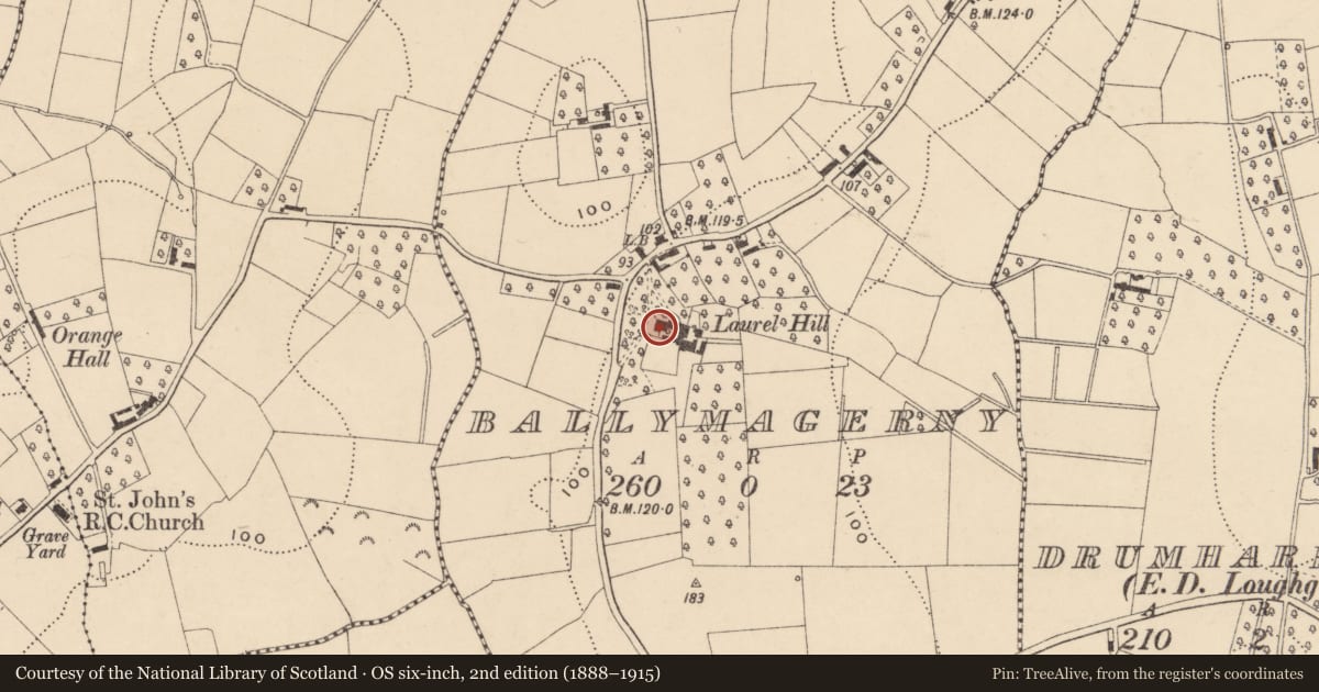 Ordnance Survey six-inch map, 2nd edition (1888–1915) covering the location of Laurel Hill, Armagh City, Banbridge and Craigavon, with a pin at the register's coordinates