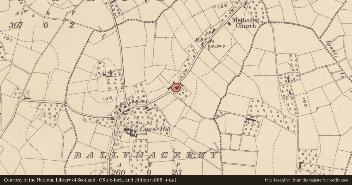 Ordnance Survey six-inch map, 2nd edition (1888–1915) covering the location of 27 Ballymagerny Road, with a pin at the register's coordinates