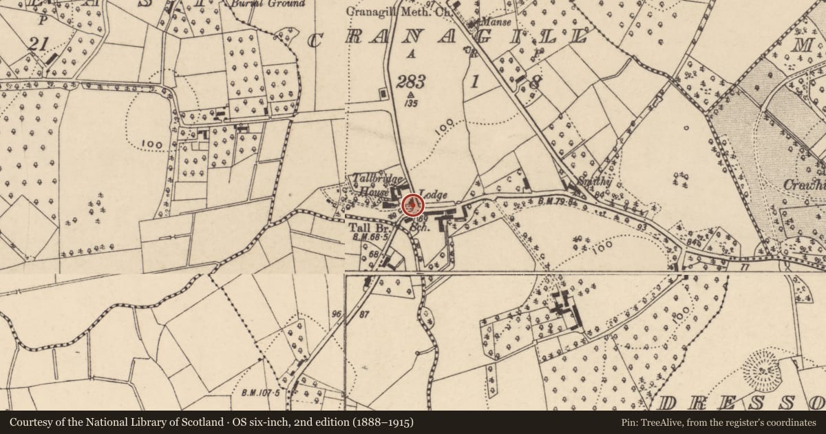 Ordnance Survey six-inch map, 2nd edition (1888–1915) covering the location of 16 Tallbridge Road, with a pin at the register's coordinates