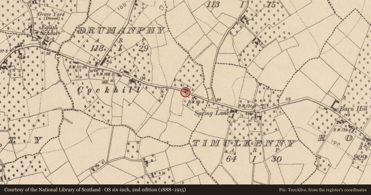 Ordnance Survey six-inch map, 2nd edition (1888–1915) covering the location of 33 Drumanphy Road, with a pin at the register's coordinates