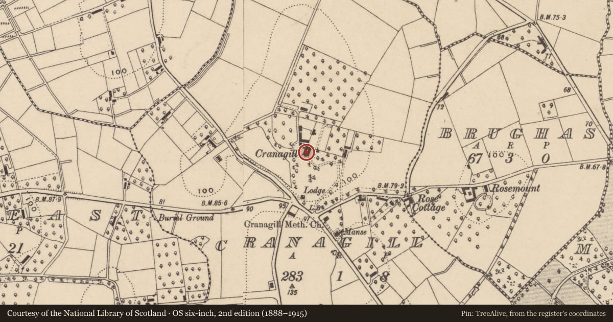 Ordnance Survey six-inch map, 2nd edition (1888–1915) covering the location of CRANNAGAEL, Armagh City, Banbridge and Craigavon, with a pin at the register's coordinates