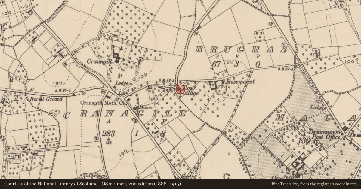 Ordnance Survey six-inch map, 2nd edition (1888–1915) covering the location of Rose Cottage, Brughas, Armagh City, Banbridge and Craigavon, with a pin at the register's coordinates