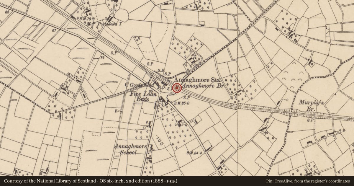 Ordnance Survey six-inch map, 2nd edition (1888–1915) covering the location of Annaghmore Bridge, Clonmacash Road, Portadown, Craigavon, Co Armagh, Armagh City, Banbridge and Craigavon, with a pin at the register's coordinates