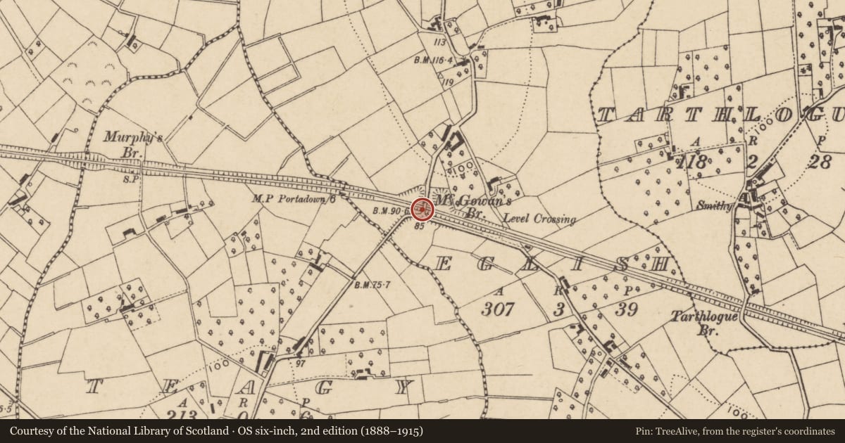 Ordnance Survey six-inch map, 2nd edition (1888–1915) covering the location of McGowan's Bridge, Eglish, Armagh City, Banbridge and Craigavon, with a pin at the register's coordinates