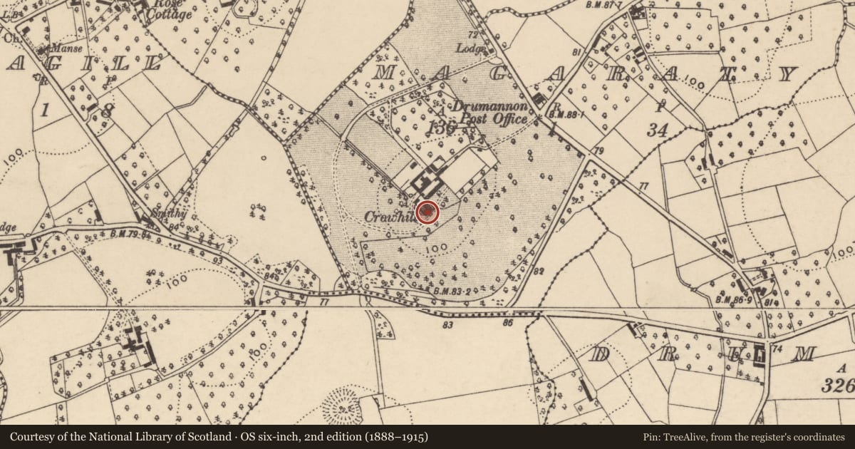 Ordnance Survey six-inch map, 2nd edition (1888–1915) covering the location of CROWHILL, Armagh City, Banbridge and Craigavon, with a pin at the register's coordinates