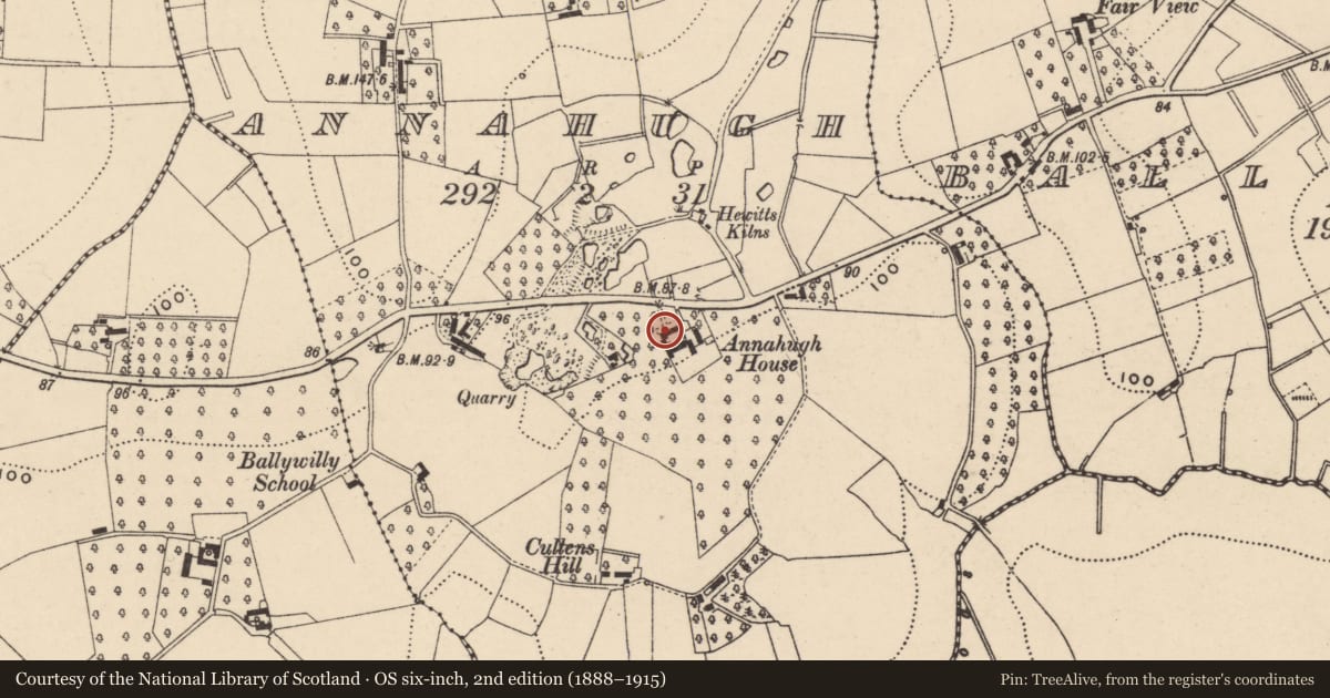 Ordnance Survey six-inch map, 2nd edition (1888–1915) covering the location of Annahugh House, Armagh City, Banbridge and Craigavon, with a pin at the register's coordinates