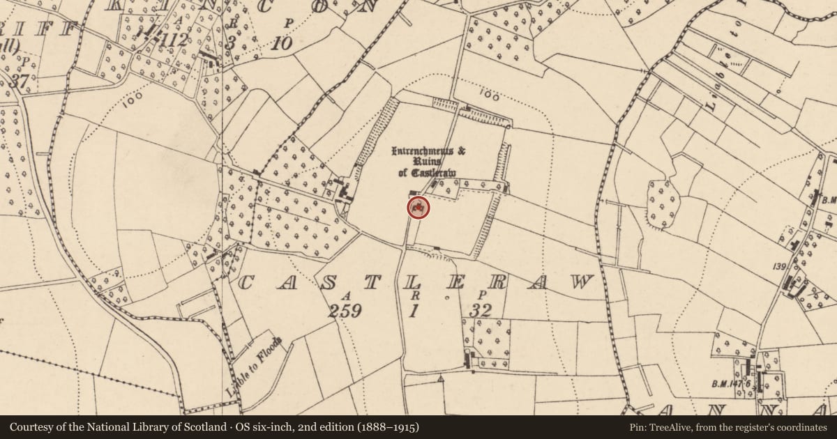 Ordnance Survey six-inch map, 2nd edition (1888–1915) covering the location of Castleraw, Armagh City, Banbridge and Craigavon, with a pin at the register's coordinates