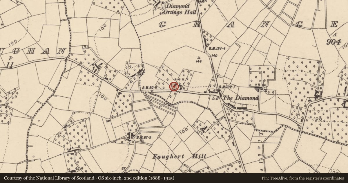 Ordnance Survey six-inch map, 2nd edition (1888–1915) covering the location of Store, Grange Lower, Armagh City, Banbridge and Craigavon, with a pin at the register's coordinates
