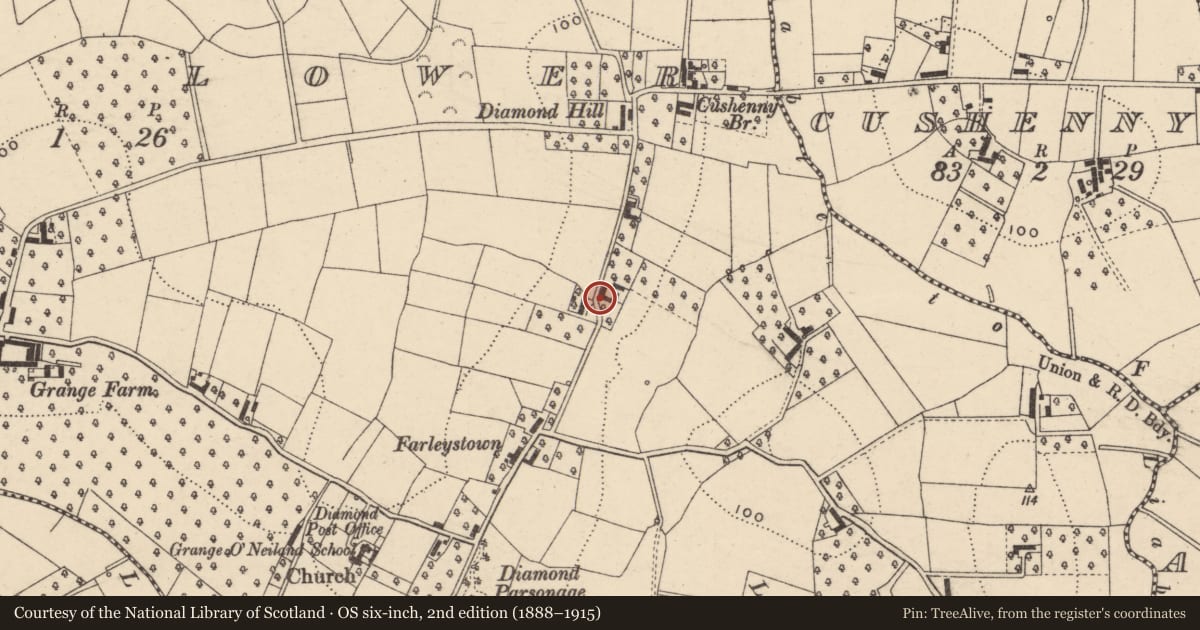 Ordnance Survey six-inch map, 2nd edition (1888–1915) covering the location of 28 Cushenny Road, Grange Lower, Armagh City, Banbridge and Craigavon, with a pin at the register's coordinates