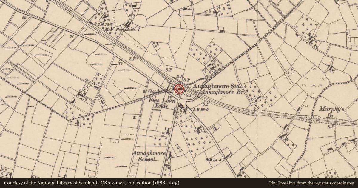 Ordnance Survey six-inch map, 2nd edition (1888–1915) covering the location of Former Annaghmore Station, with a pin at the register's coordinates