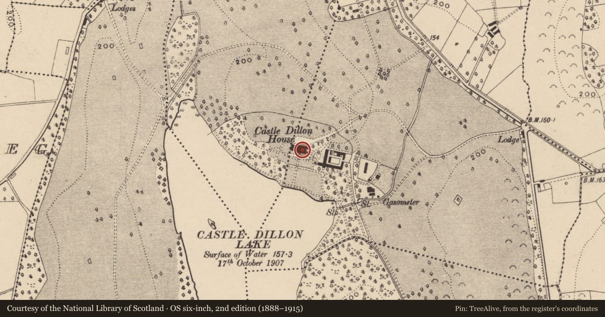Ordnance Survey six-inch map, 2nd edition (1888–1915) covering the location of Castle Dillon House, Armagh City, Banbridge and Craigavon, with a pin at the register's coordinates