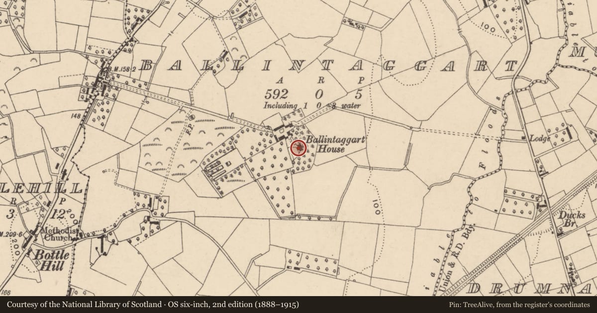Ordnance Survey six-inch map, 2nd edition (1888–1915) covering the location of Ballintaggart House, Armagh City, Banbridge and Craigavon, with a pin at the register's coordinates