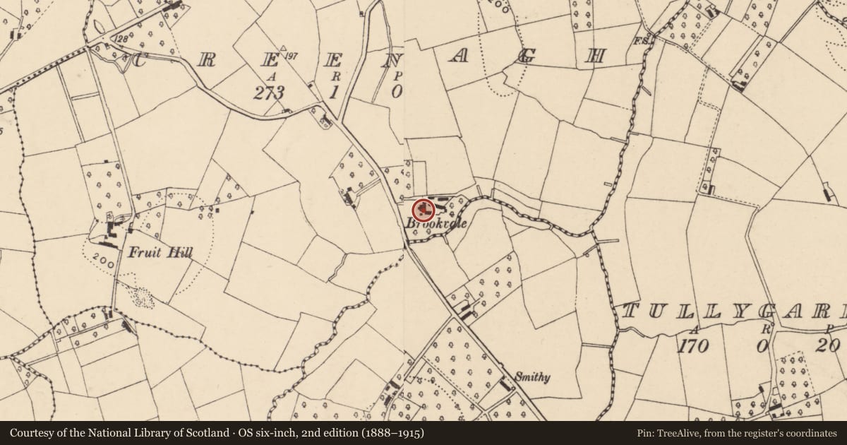 Ordnance Survey six-inch map, 2nd edition (1888–1915) covering the location of BROOKVALE, Armagh City, Banbridge and Craigavon, with a pin at the register's coordinates