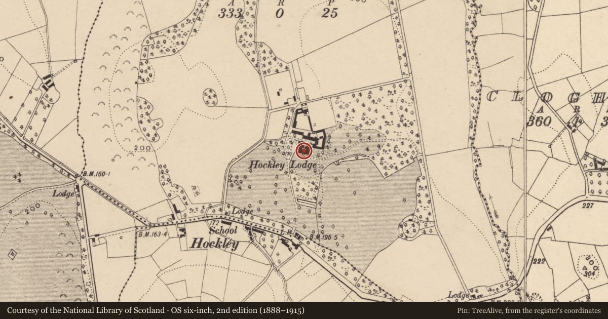 Ordnance Survey six-inch map, 2nd edition (1888–1915) covering the location of Hockley Lodge, Armagh City, Banbridge and Craigavon, with a pin at the register's coordinates