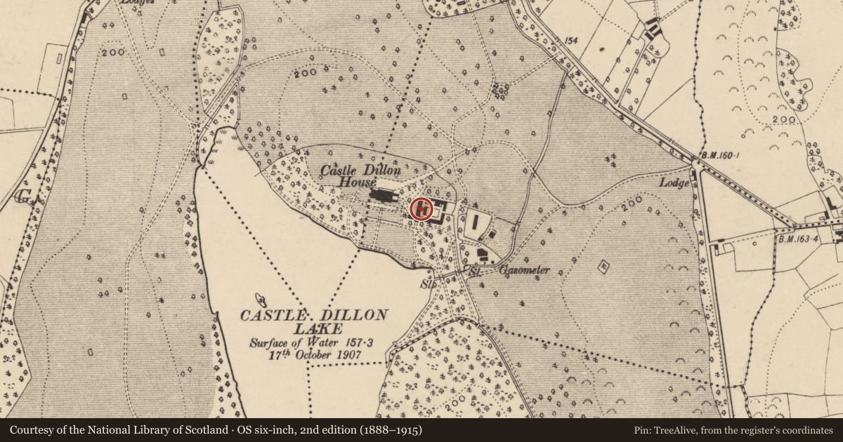 Ordnance Survey six-inch map, 2nd edition (1888–1915) covering the location of OUTBUILDINGS, Armagh City, Banbridge and Craigavon, with a pin at the register's coordinates