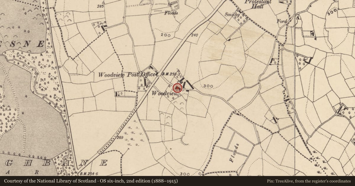 Ordnance Survey six-inch map, 2nd edition (1888–1915) covering the location of WOODVIEW, Armagh City, Banbridge and Craigavon, with a pin at the register's coordinates