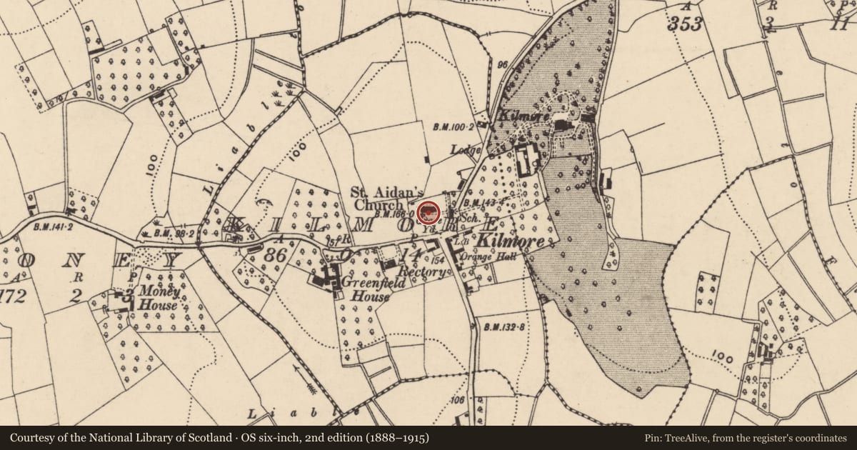 Ordnance Survey six-inch map, 2nd edition (1888–1915) covering the location of St. Aidan'S Church, Armagh City, Banbridge and Craigavon, with a pin at the register's coordinates
