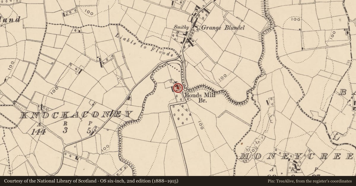 Ordnance Survey six-inch map, 2nd edition (1888–1915) covering the location of 100 Salters Grange Road, Armagh City, Banbridge and Craigavon, with a pin at the register's coordinates