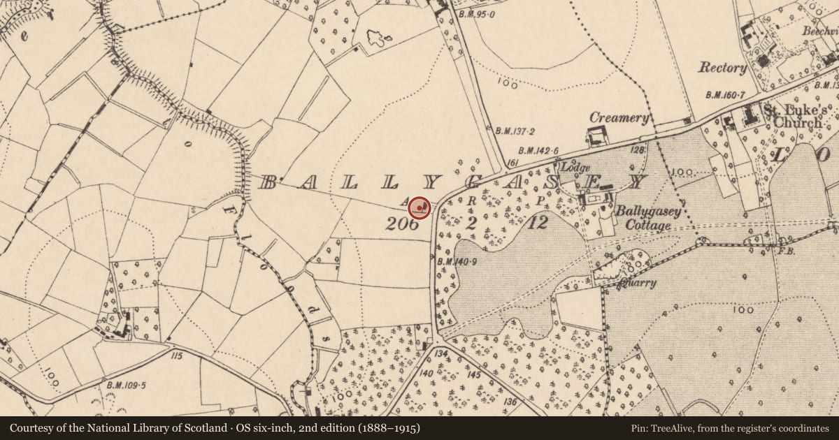 Ordnance Survey six-inch map, 2nd edition (1888–1915) covering the location of Ruins of house to west of 52 Ballygasey Road (former fever hospital), with a pin at the register's coordinates