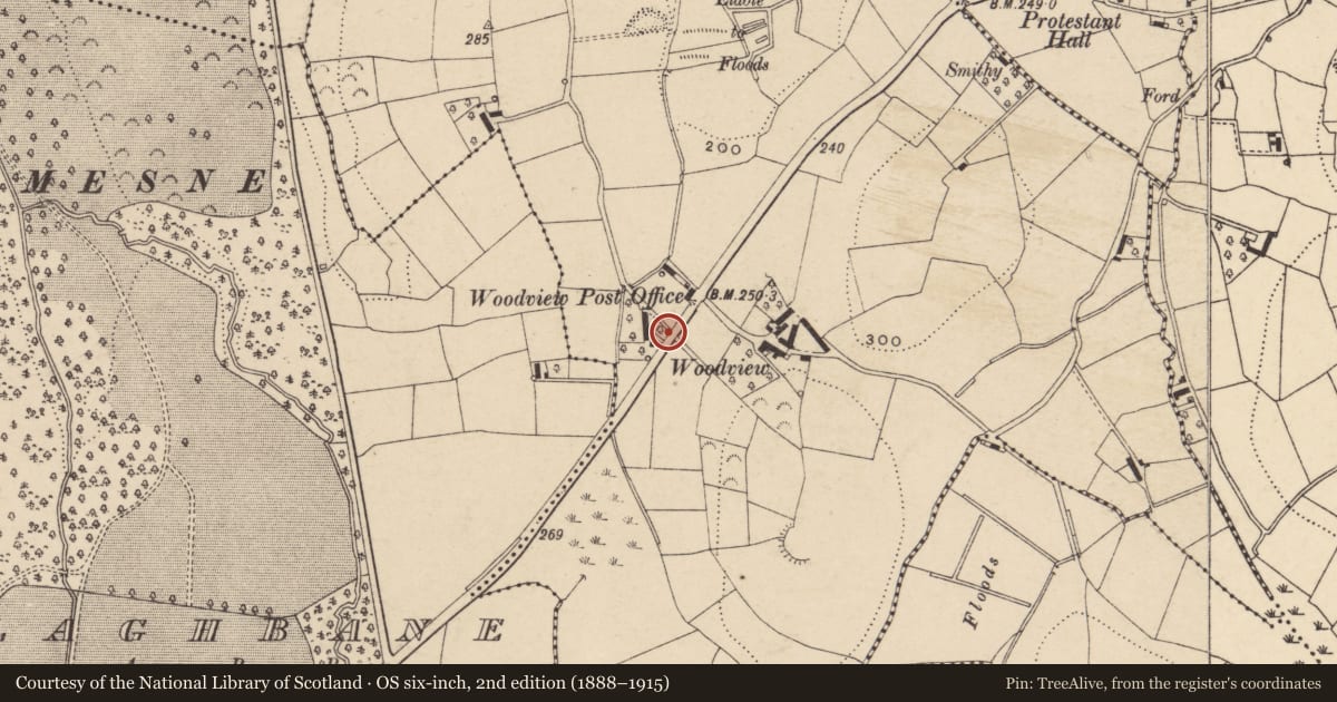Ordnance Survey six-inch map, 2nd edition (1888–1915) covering the location of Telephone Kiosk, Mullanasilla, Armagh City, Banbridge and Craigavon, with a pin at the register's coordinates