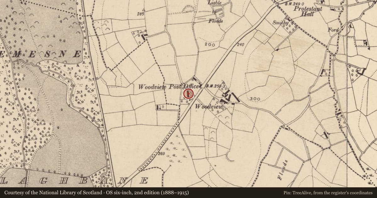 Ordnance Survey six-inch map, 2nd edition (1888–1915) covering the location of 126 Portadown Road, Mullansilla, Armagh City, Banbridge and Craigavon, with a pin at the register's coordinates