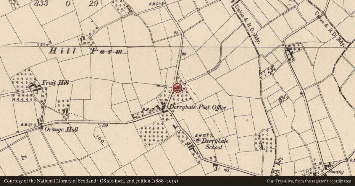 Ordnance Survey six-inch map, 2nd edition (1888–1915) covering the location of 98 Derryhale Road, Armagh City, Banbridge and Craigavon, with a pin at the register's coordinates