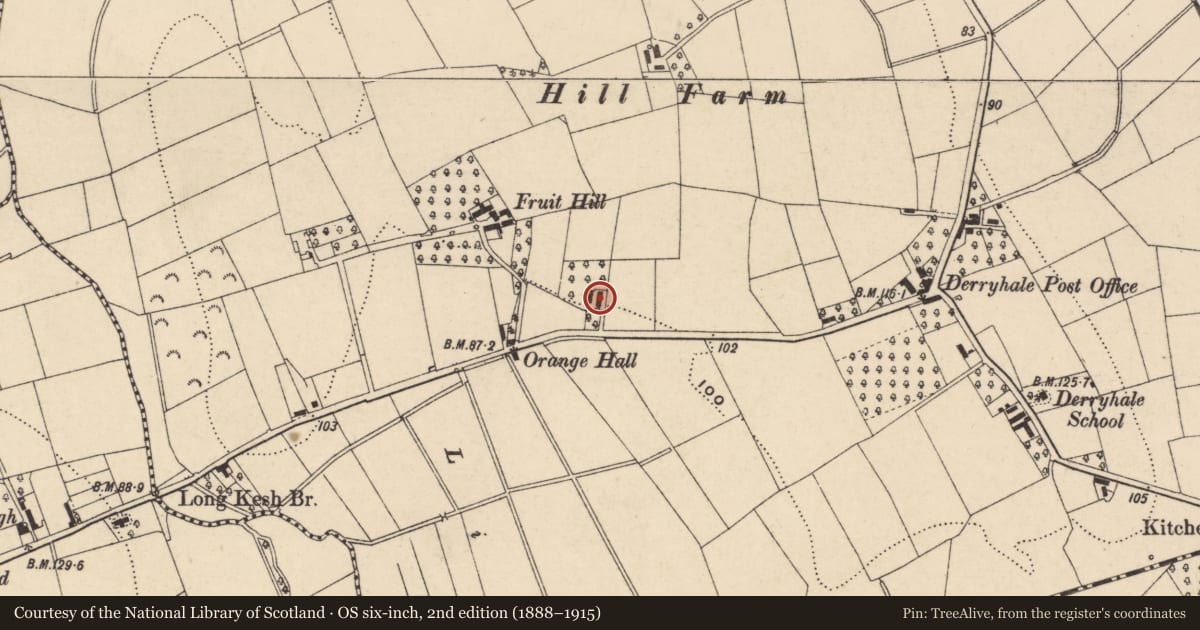 Ordnance Survey six-inch map, 2nd edition (1888–1915) covering the location of 180 Mullalelish Road, Derryhale, Armagh City, Banbridge and Craigavon, with a pin at the register's coordinates