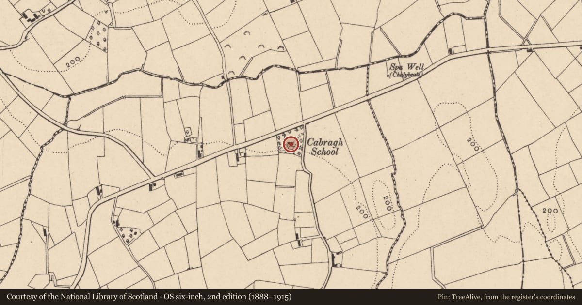 Ordnance Survey six-inch map, 2nd edition (1888–1915) covering the location of Former Cabra Primary School, Armagh City, Banbridge and Craigavon, with a pin at the register's coordinates