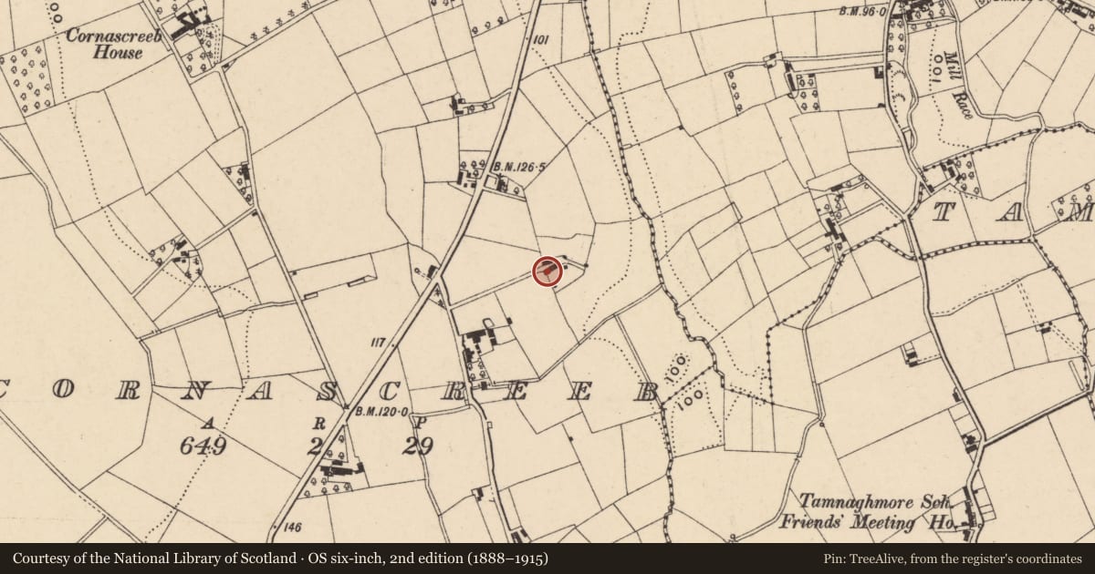 Ordnance Survey six-inch map, 2nd edition (1888–1915) covering the location of 1 Harker's Hill, Cornascreeb, Armagh City, Banbridge and Craigavon, with a pin at the register's coordinates