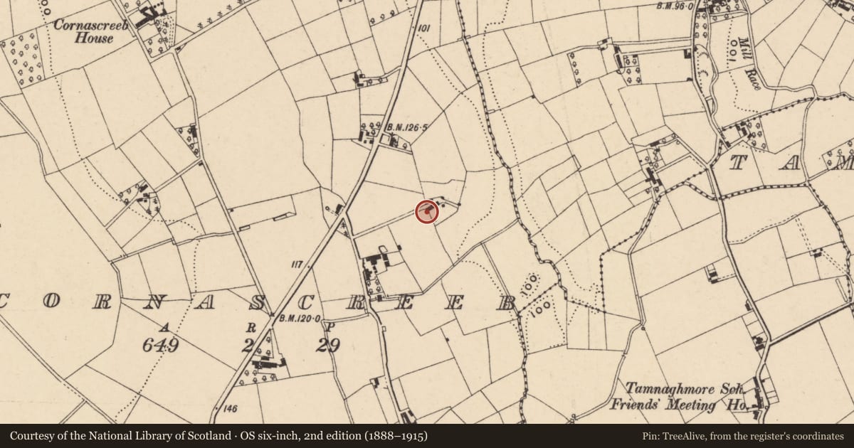 Ordnance Survey six-inch map, 2nd edition (1888–1915) covering the location of 4 Harker's Hill, Cornascriebe Road, Portadown BT62 3SS, Cornascreeb, Armagh City, Banbridge and Craigavon, with a pin at the register's coordinates