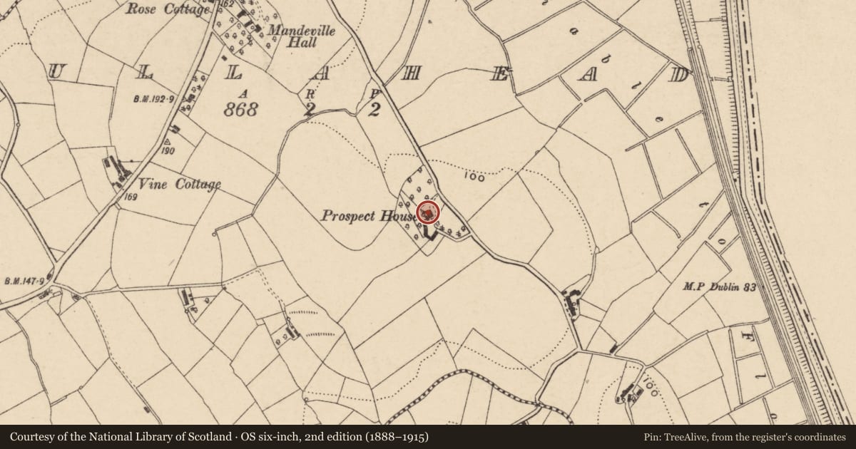 Ordnance Survey six-inch map, 2nd edition (1888–1915) covering the location of Prospect House, Armagh City, Banbridge and Craigavon, with a pin at the register's coordinates
