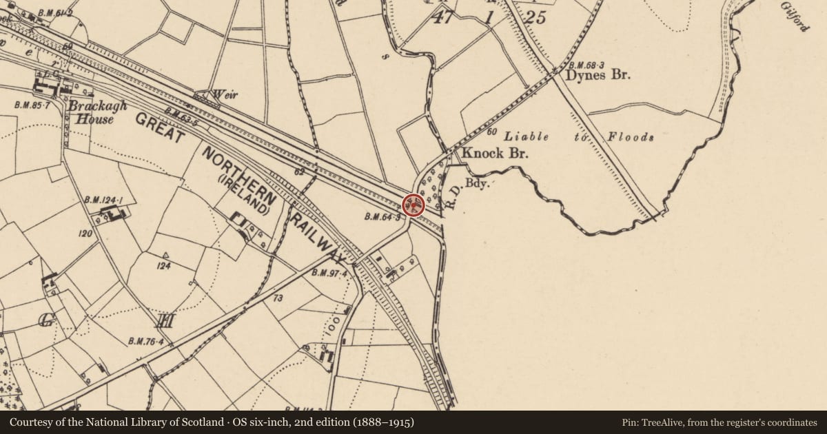 Ordnance Survey six-inch map, 2nd edition (1888–1915) covering the location of Road Bridge Over Newry Canal, Armagh City, Banbridge and Craigavon, with a pin at the register's coordinates
