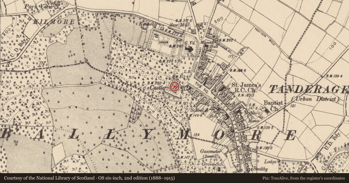Ordnance Survey six-inch map, 2nd edition (1888–1915) covering the location of Tandragee Castle, Armagh City, Banbridge and Craigavon, with a pin at the register's coordinates
