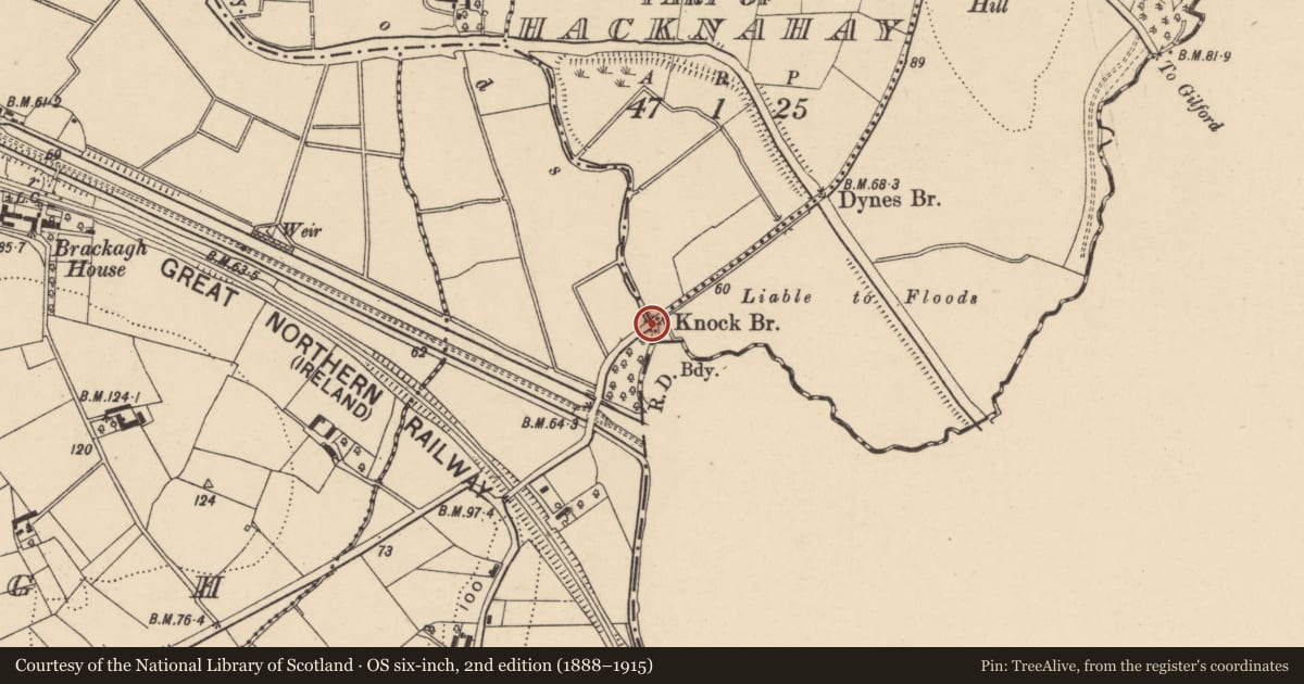 Ordnance Survey six-inch map, 2nd edition (1888–1915) covering the location of Knock Bridge, Armagh City, Banbridge and Craigavon, with a pin at the register's coordinates