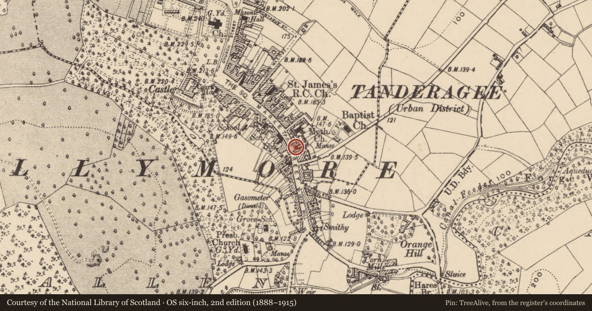 Ordnance Survey six-inch map, 2nd edition (1888–1915) covering the location of 94 Market St., Armagh City, Banbridge and Craigavon, with a pin at the register's coordinates