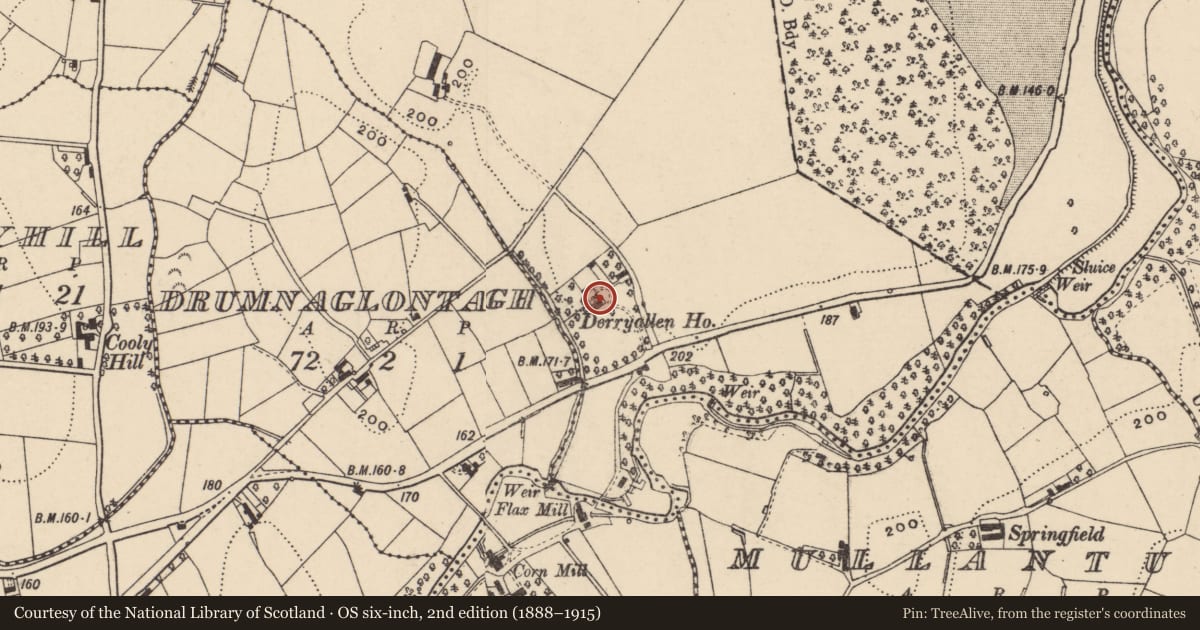 Ordnance Survey six-inch map, 2nd edition (1888–1915) covering the location of Derryallen House, Armagh City, Banbridge and Craigavon, with a pin at the register's coordinates