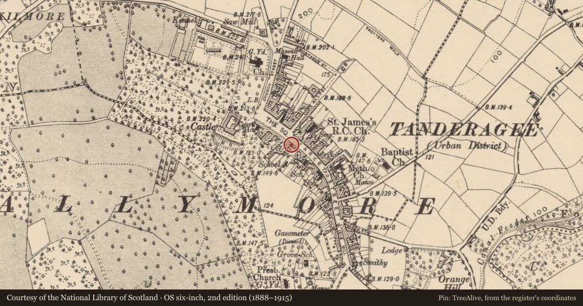 Ordnance Survey six-inch map, 2nd edition (1888–1915) covering the location of 47-49 Market St., Armagh City, Banbridge and Craigavon, with a pin at the register's coordinates