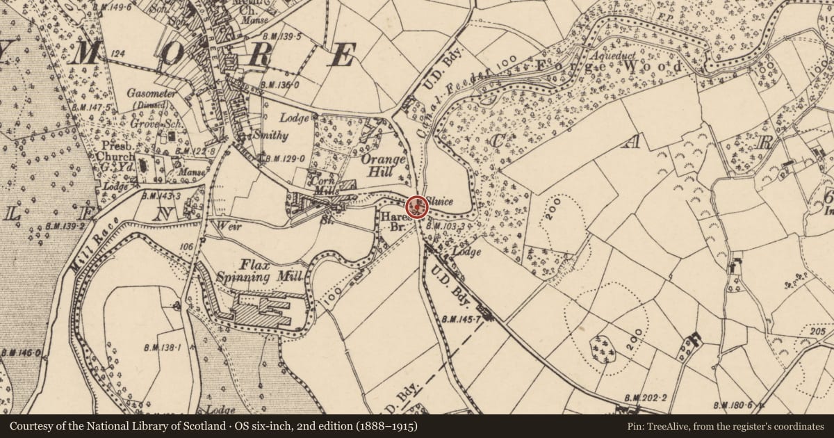 Ordnance Survey six-inch map, 2nd edition (1888–1915) covering the location of Hare'S Bridge, Armagh City, Banbridge and Craigavon, with a pin at the register's coordinates