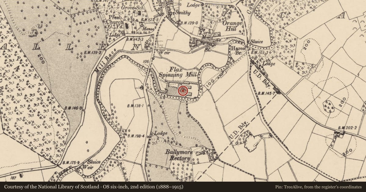 Ordnance Survey six-inch map, 2nd edition (1888–1915) covering the location of Sinton's Mill, Derryallen, Armagh City, Banbridge and Craigavon, with a pin at the register's coordinates