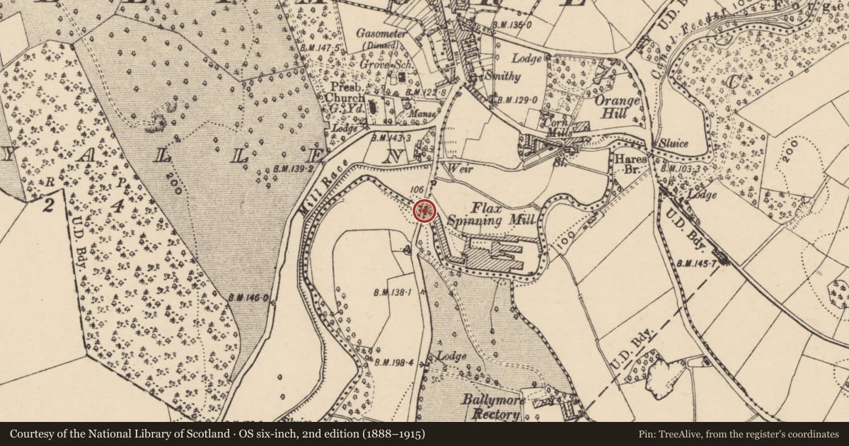 Ordnance Survey six-inch map, 2nd edition (1888–1915) covering the location of Road Bridge, Armagh City, Banbridge and Craigavon, with a pin at the register's coordinates