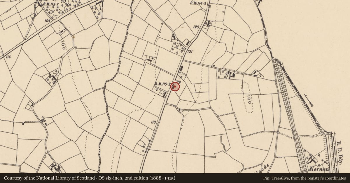 Ordnance Survey six-inch map, 2nd edition (1888–1915) covering the location of 48 Mullahead Road, Armagh City, Banbridge and Craigavon, with a pin at the register's coordinates