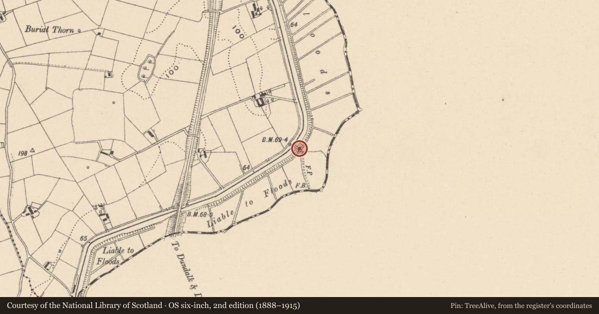 Ordnance Survey six-inch map, 2nd edition (1888–1915) covering the location of Accommodation Bridge Over Newry Canal, Armagh City, Banbridge and Craigavon, with a pin at the register's coordinates