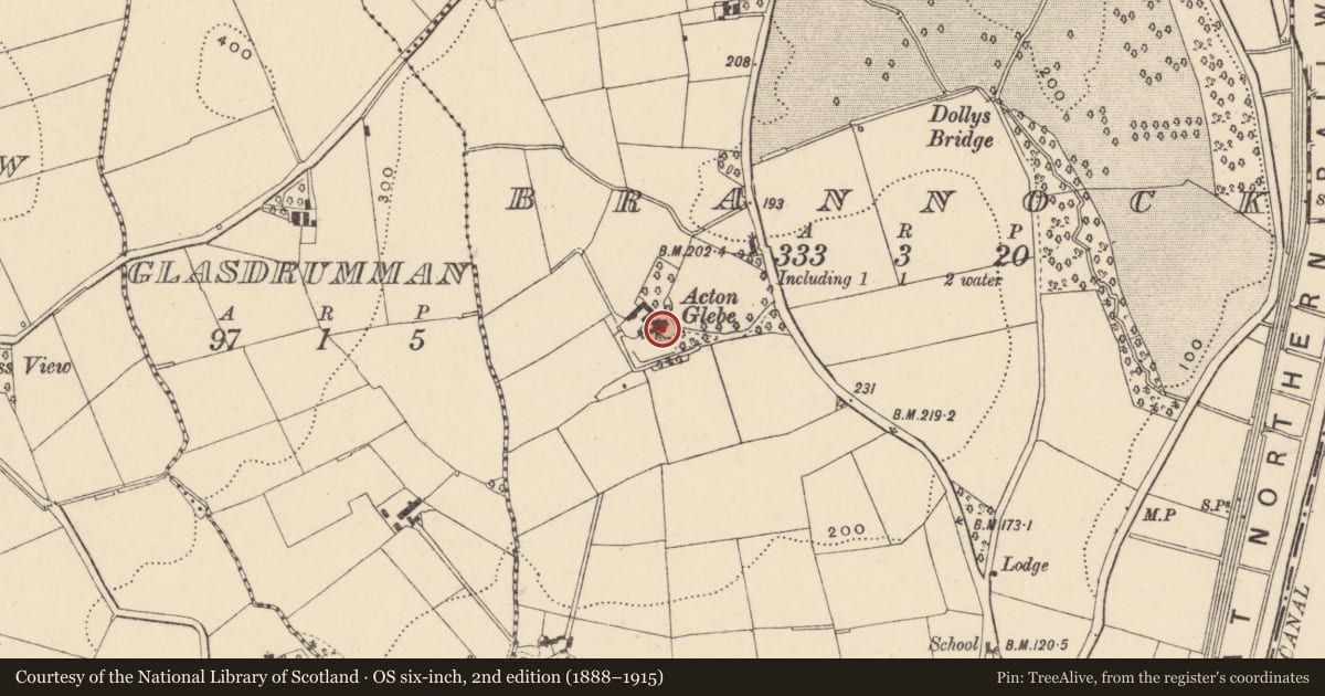 Ordnance Survey six-inch map, 2nd edition (1888–1915) covering the location of Acton Glebe, Armagh City, Banbridge and Craigavon, with a pin at the register's coordinates